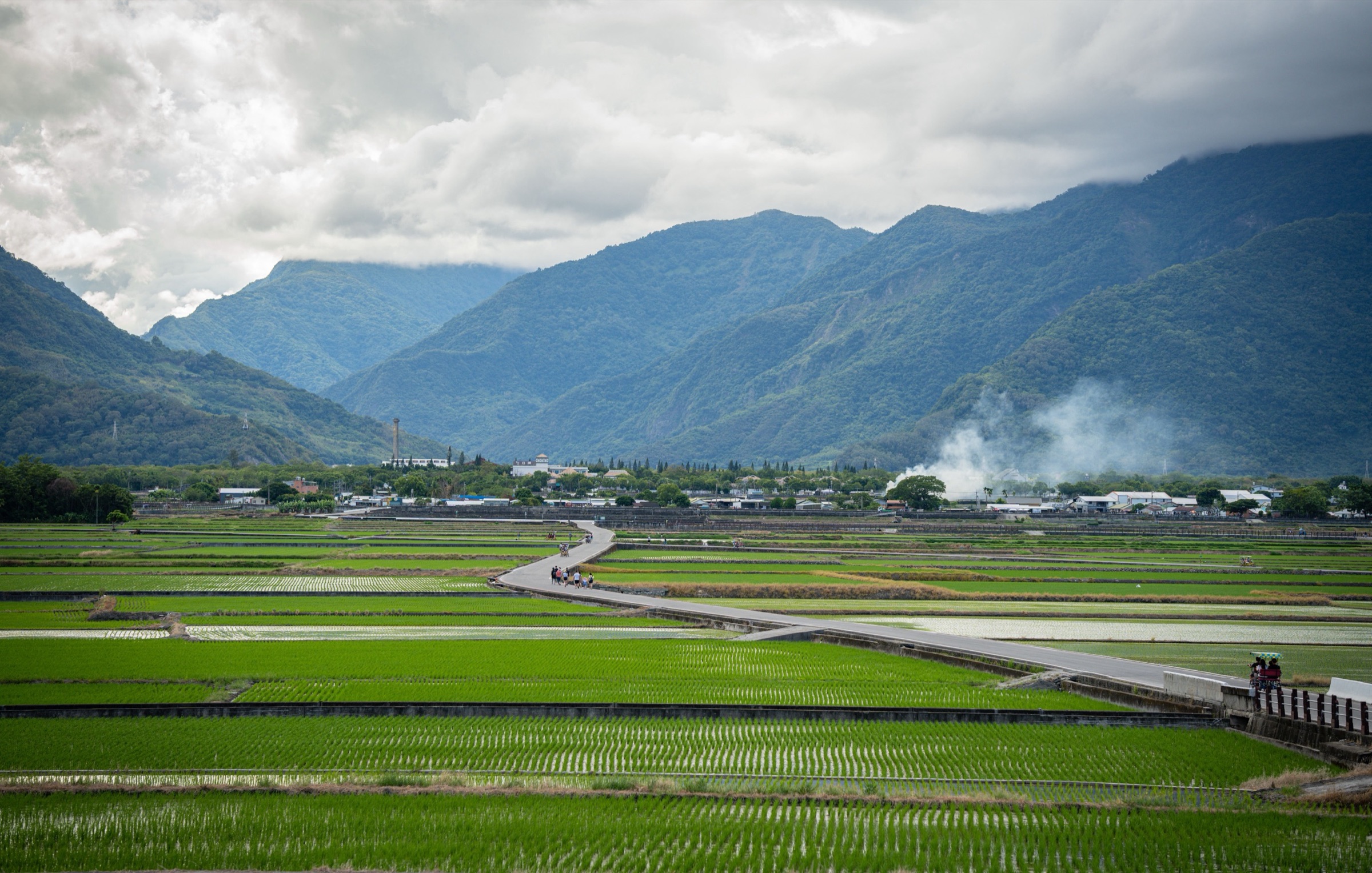 一整片綠色的稻田,遠處是縱谷兩側的山與低雲